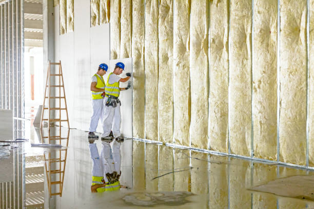 Best Commercial Insulation in Middletown, DE